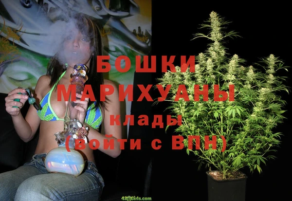 гидра Алексин