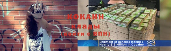 гидра Алексин