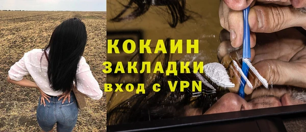 гидра Алексин